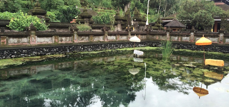 natuur-in-bali