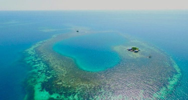 bird-island-belize