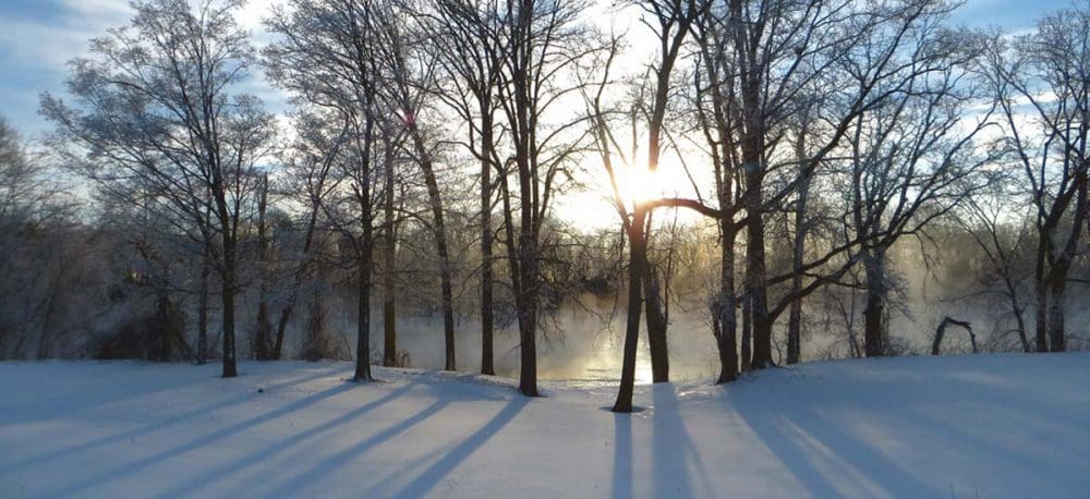 overwinter-de-kou
