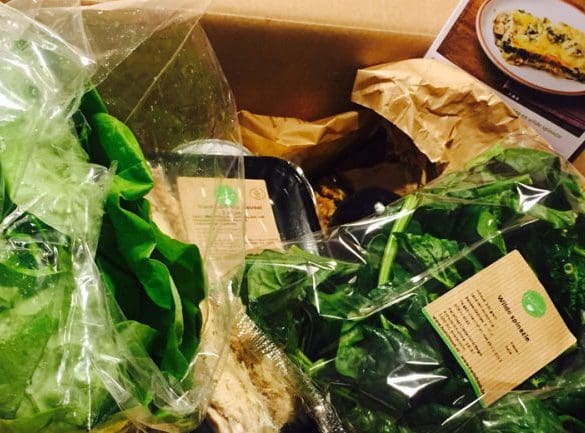 review-over-de-hellofresh-maaltijdbox