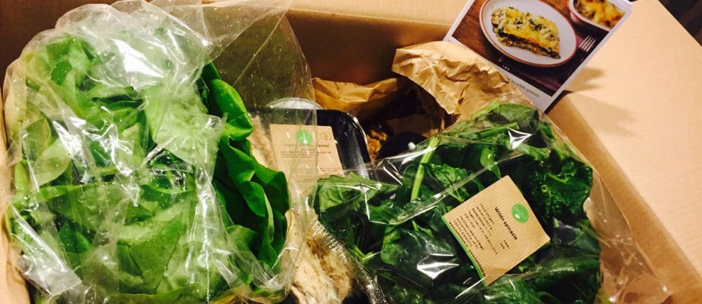 review-over-de-hellofresh-maaltijdbox