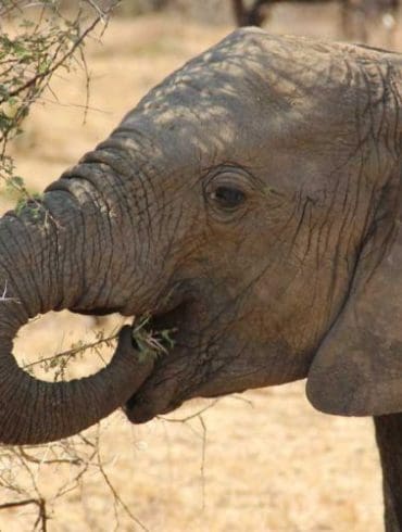 ontdek-jouw-zuid-afrika