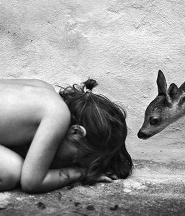 snoecks-2017-is-een-bron-van-inspiratie