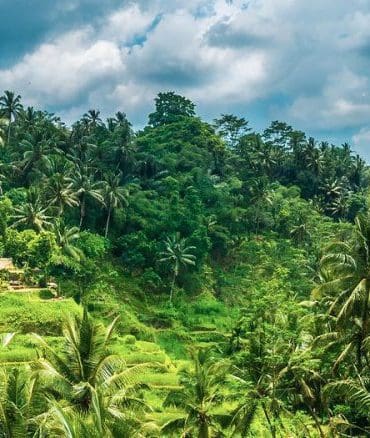 bali-nederlands-sprekende-reisgids