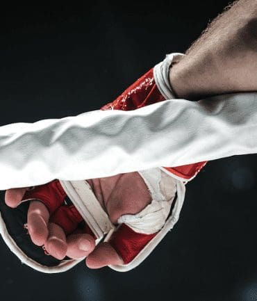 mma-season-3-kingdom