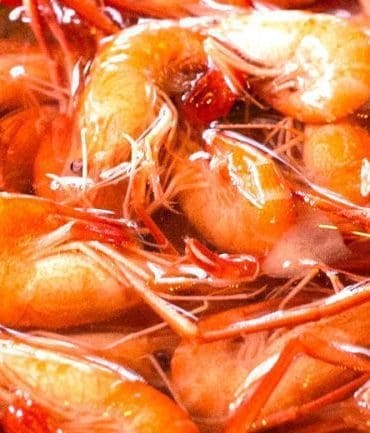 Lekker en verantwoord koolhydraatarm eten