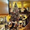 Waarom een kerstboom met kerst