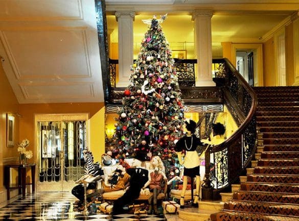 Waarom een kerstboom met kerst