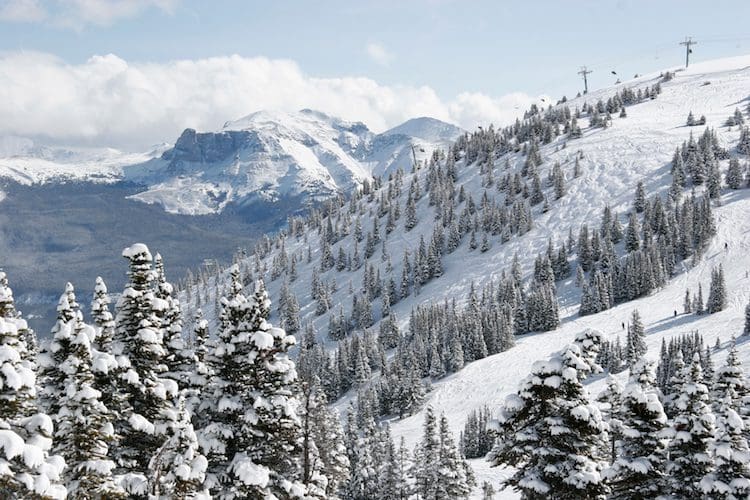 marmot basin