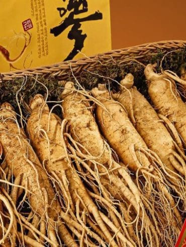 een-gezonde-lifestyle-vereist-de-juiste-voeding