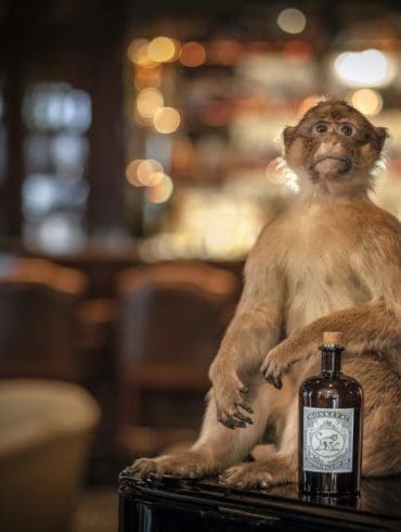 monkey-47-gin-foto