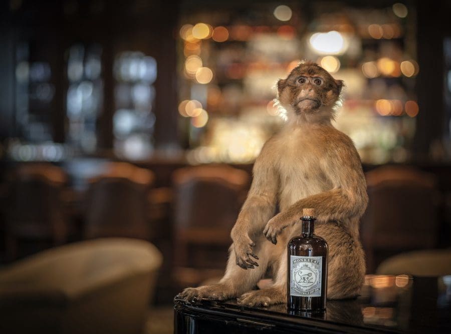 monkey-47-gin-foto