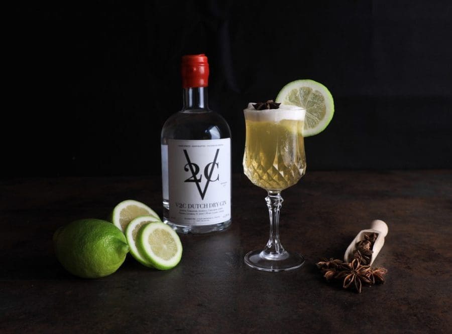 v2c-gin-nederland