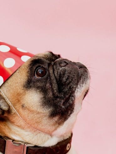 vrijgezellenfeest-mannen-unieke-ideeen