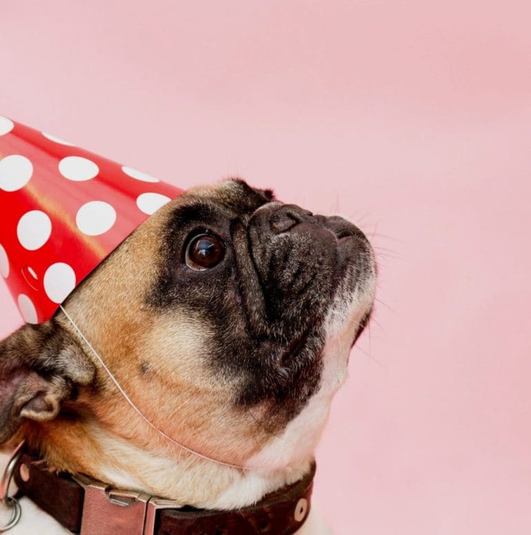 vrijgezellenfeestmannenuniekeideeen mensgoodlife