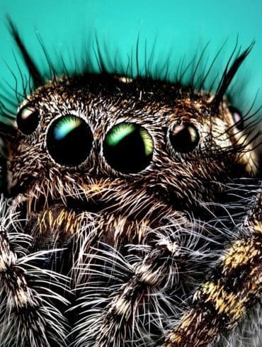 affinity-photo-het-alternatief-voor-photoshop