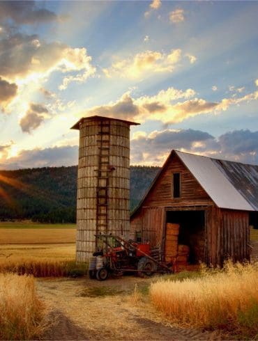 kies-voor-een-gezonde-maaltijdbox-met-producten-van-de-boer