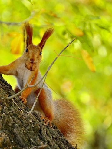 hoe-maak-je-je-tuinmeubelen-winterklaar