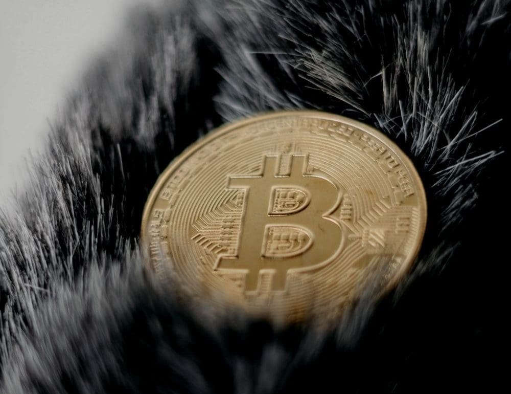 voordelen-van-crypto-op-een-rij
