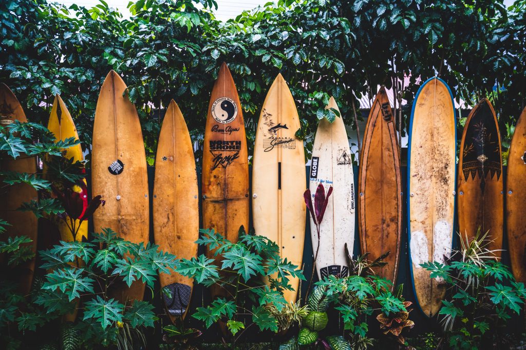 dakine-hawai