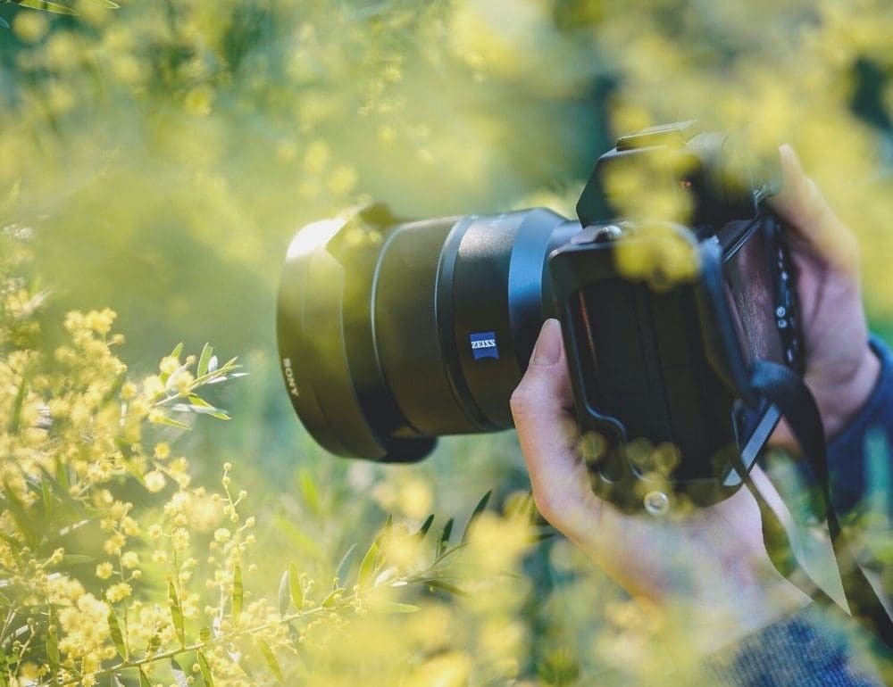 dit-heb-je-nodig-om-goede-fotos-te-maken-in-de-natuur