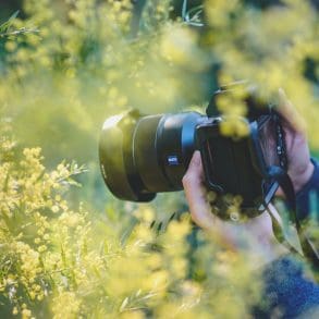 dit-heb-je-nodig-om-goede-fotos-te-maken-in-de-natuur