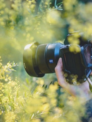 dit-heb-je-nodig-om-goede-fotos-te-maken-in-de-natuur