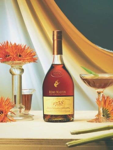 maak-tijdens-de-feestdagen-de-iconische-sidecar-cocktail