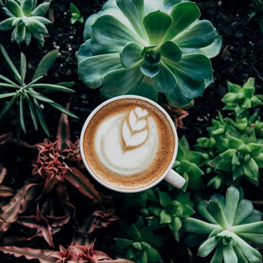 verras-je-valentijn-met-een-eerlijk-kopje-koffie