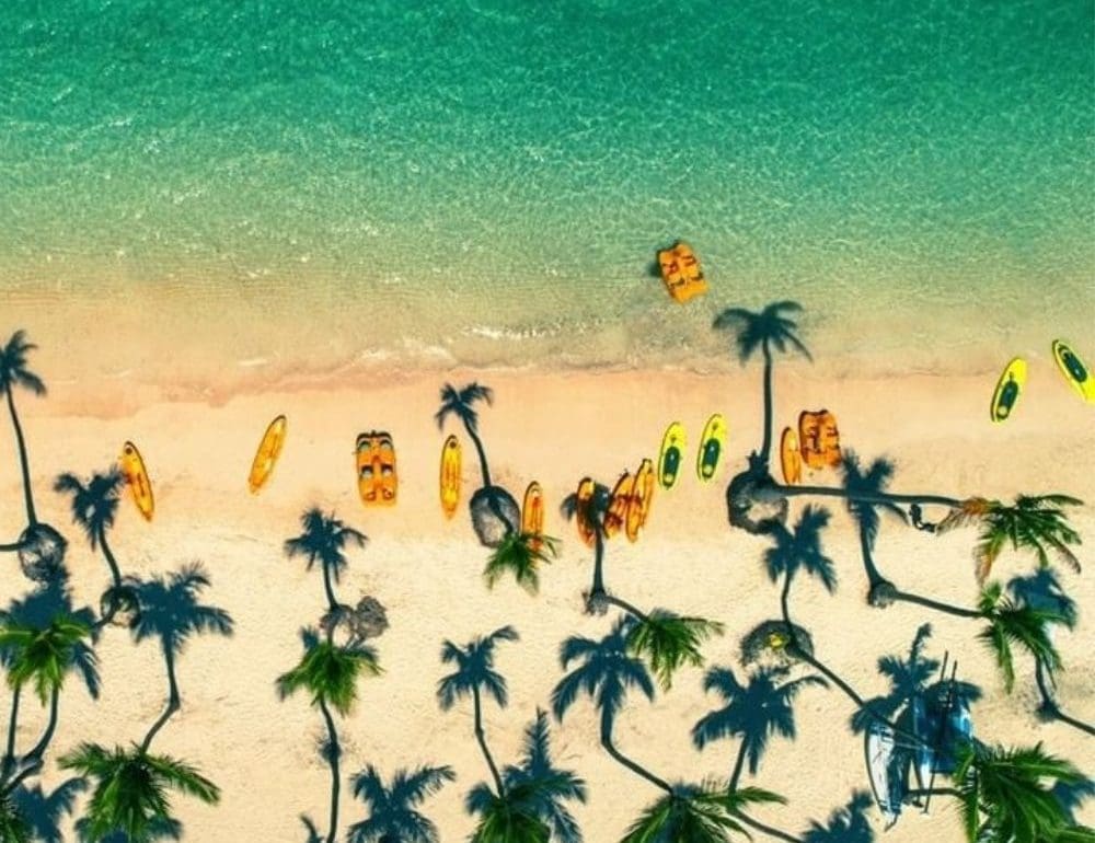 een-zomervakantie-met-het-gezin-boeken-waar-let-je-op