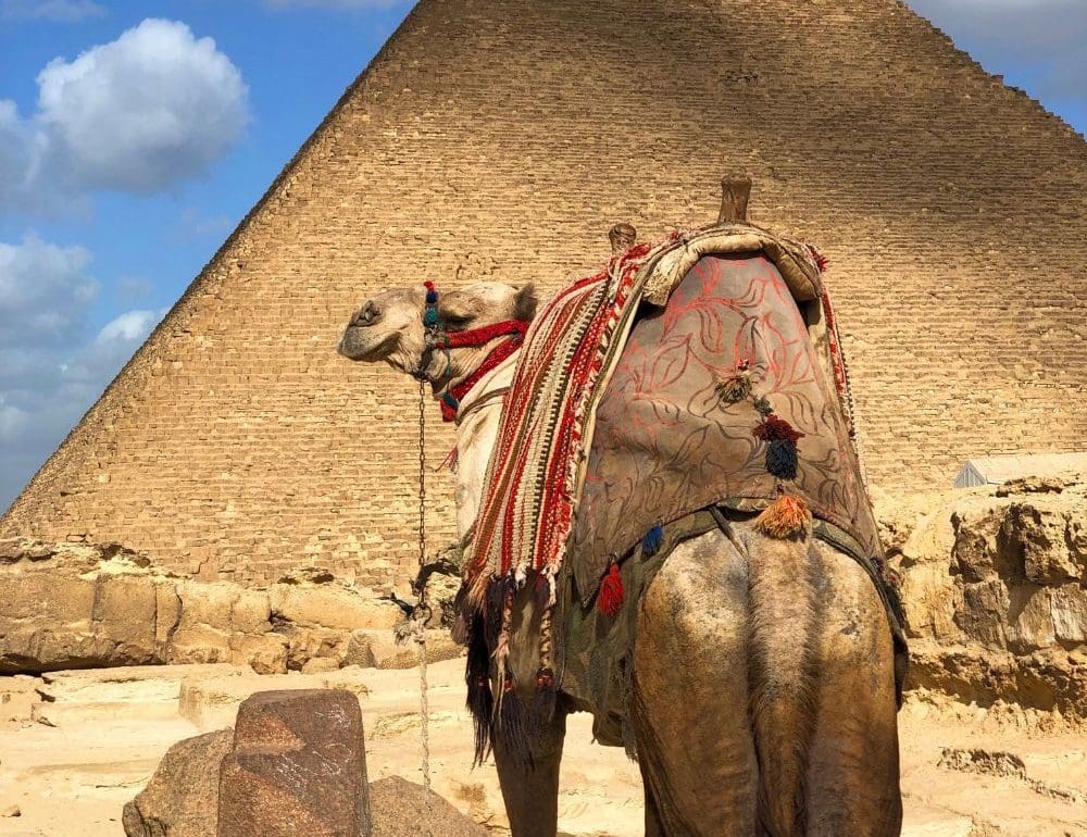 boek-vandaag-nog-je-reis-naar-egypte
