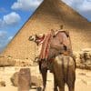 boek-vandaag-nog-je-reis-naar-egypte