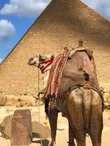 boek-vandaag-nog-je-reis-naar-egypte