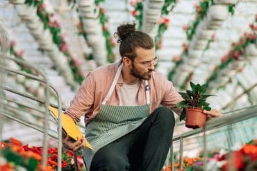groene-vingers-begin-je-eigen-kweekkas-in-de-achtertuin
