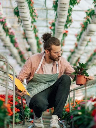 groene-vingers-begin-je-eigen-kweekkas-in-de-achtertuin