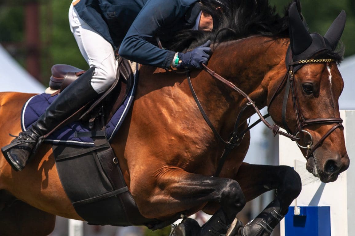 de-paardensport-events-waar-je-bij-moet-zijn
