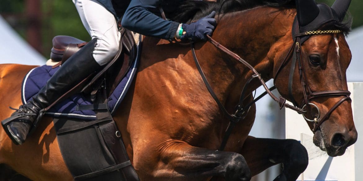 de-paardensport-events-waar-je-bij-moet-zijn