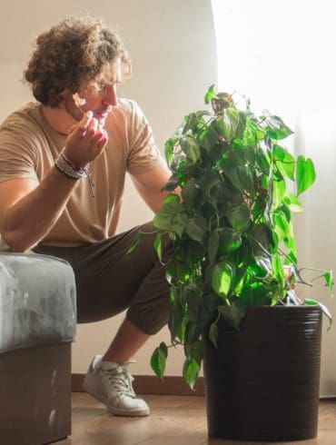 Go green, nu ook binnenshuis met planten!