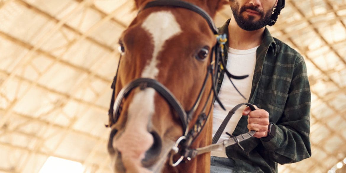 Jumping Amsterdam brengt de paardensport tot leven! 