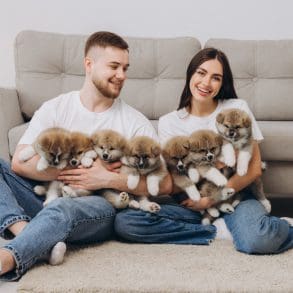 Het geheim van een gelukkiger leven? Een hond in huis!