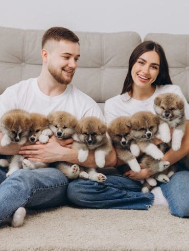 Het geheim van een gelukkiger leven? Een hond in huis!