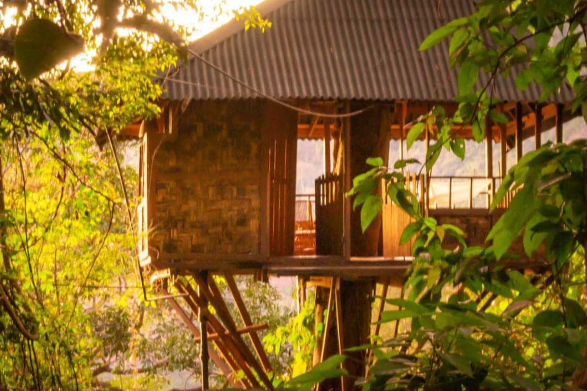 Boomhut overnachting dichtbij huis maar toch even helemaal weg