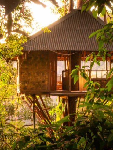 Boomhut overnachting dichtbij huis maar toch even helemaal weg