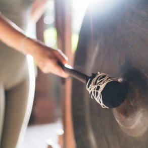 Van vol hoofd naar Ultieme Zen: Kaber D-Stress en Relax Workshop