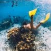 Caribische vakantie? De ultieme 16-daagse rondreis Curaçao & Bonaire