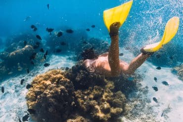 Caribische vakantie? De ultieme 16-daagse rondreis Curaçao & Bonaire