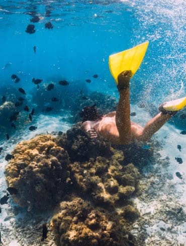 Caribische vakantie? De ultieme 16-daagse rondreis Curaçao & Bonaire